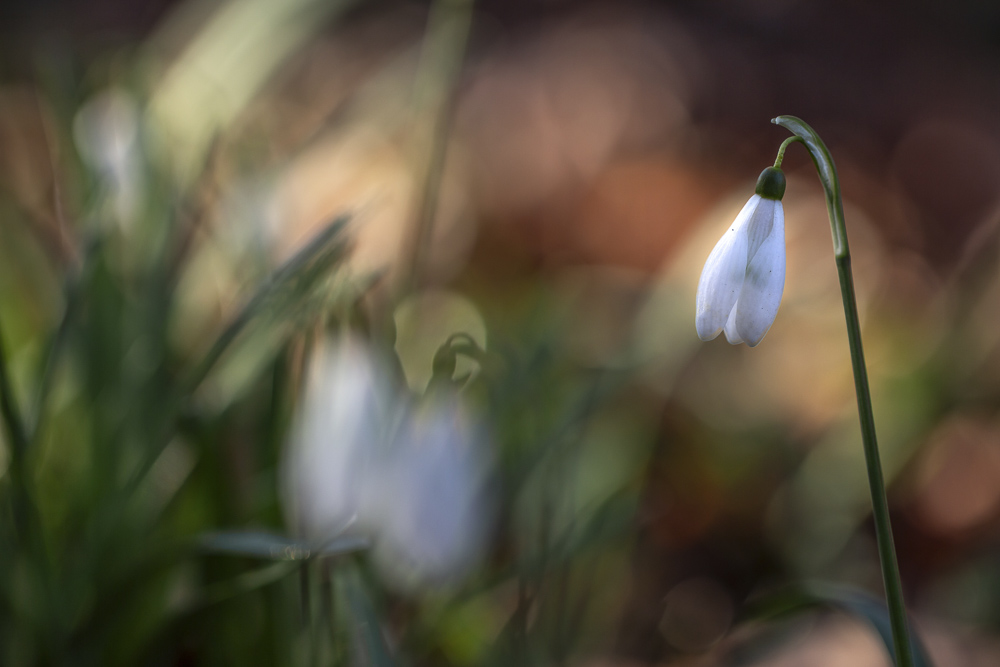 Platz 11 Nadine Mayer